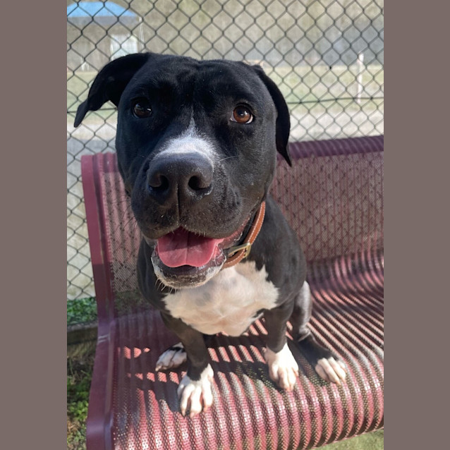 Photo of Lucy