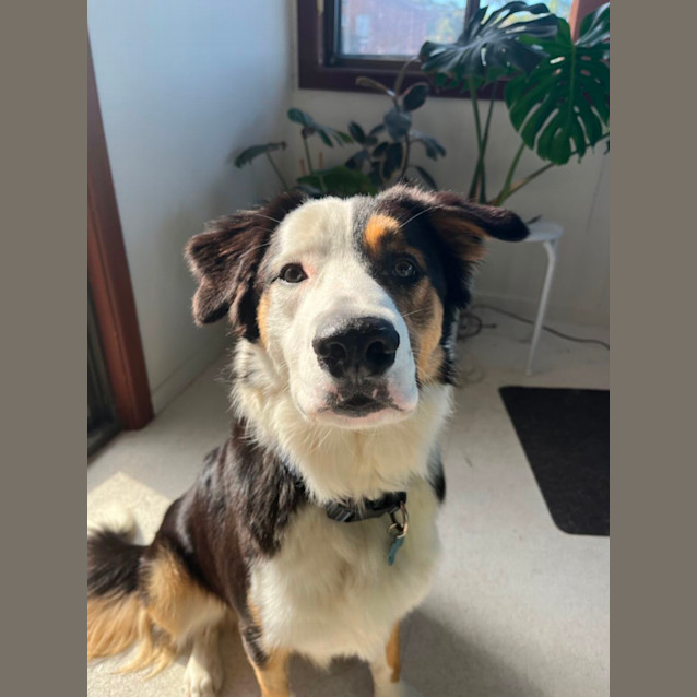 Photo of Axel