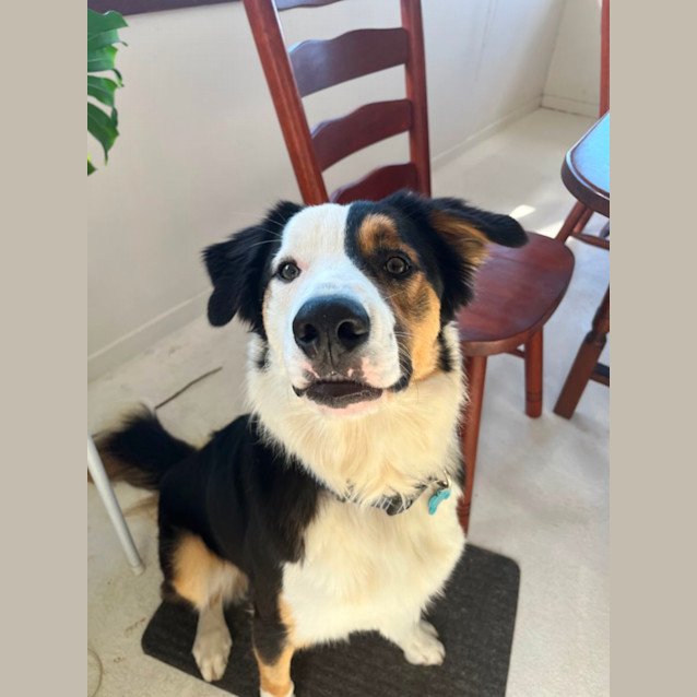 Photo of Axel