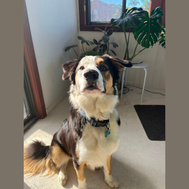 Photo of Axel