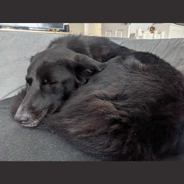 Photo of Sooty