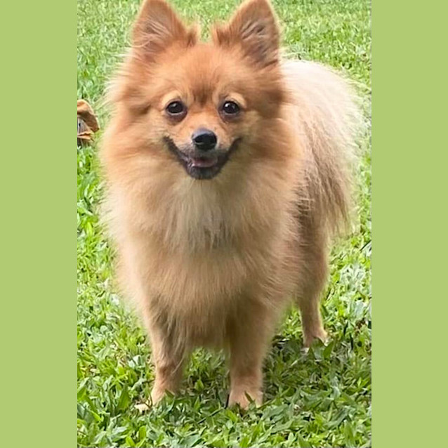 Photo of Lulu