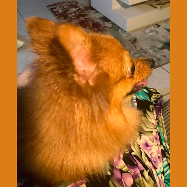 Photo of Lulu