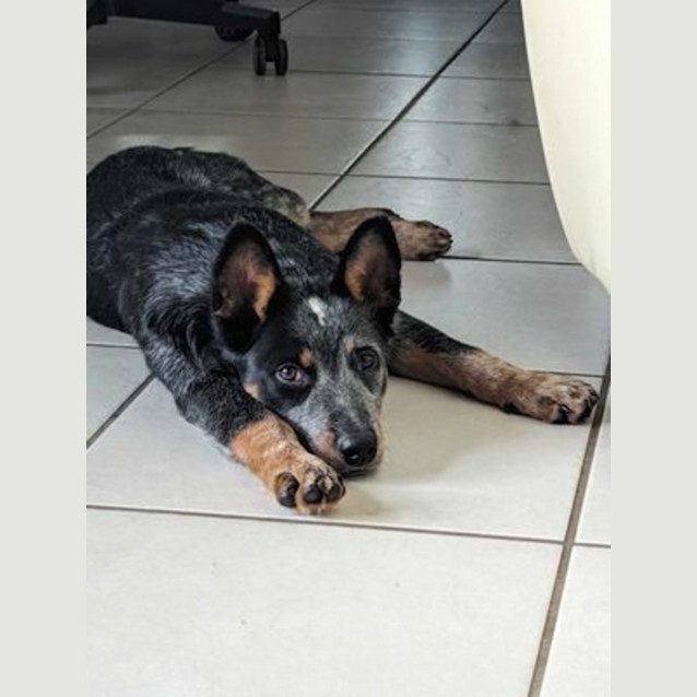 Photo of Matilda