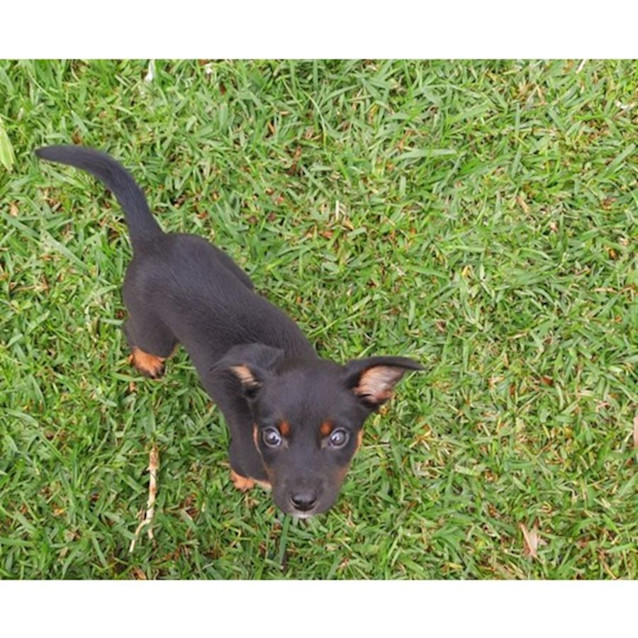 Photo of Lilly