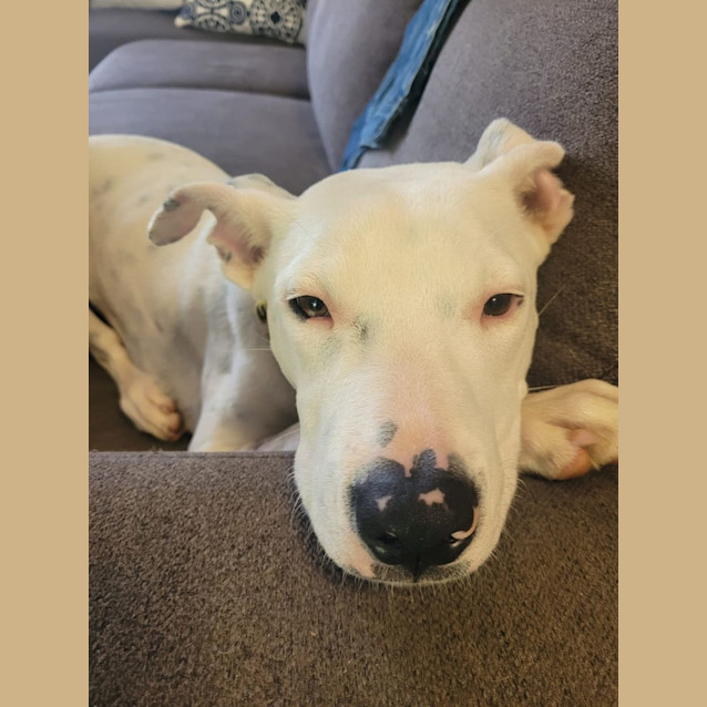 Photo of Honey