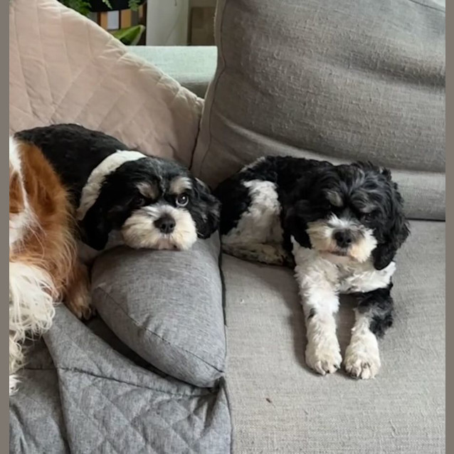 Photo of Patty & Selma