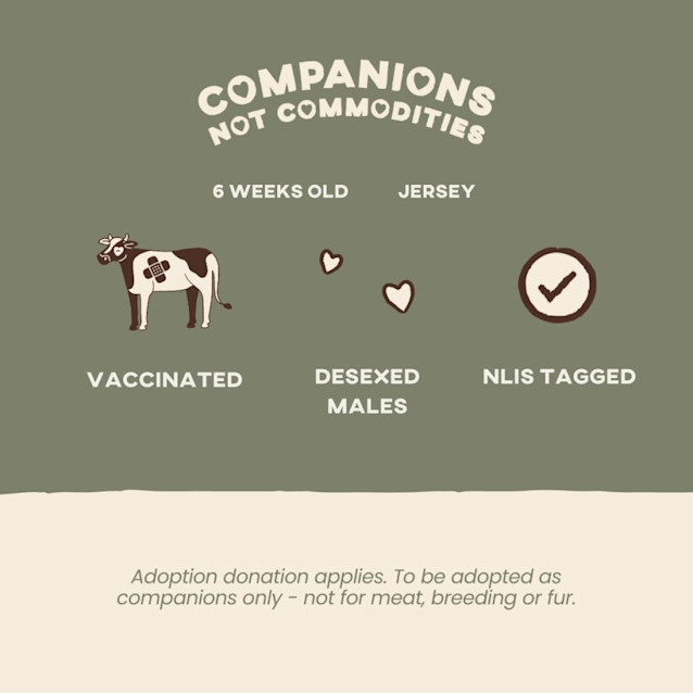 Photo of Beau And Benedict 