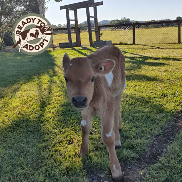 Photo of Beau And Benedict 