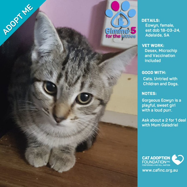 Photo of Eowyn Just $50 Limited Time!