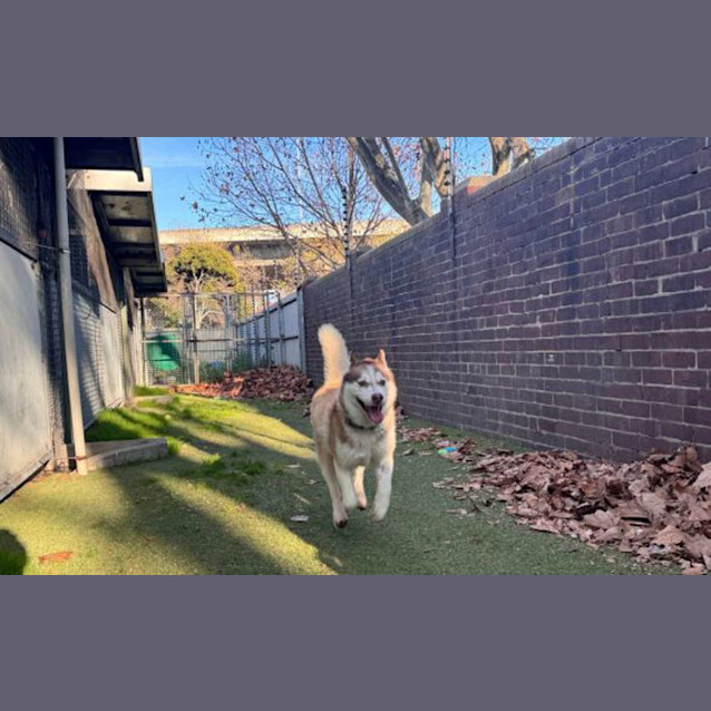 Photo of Lucy