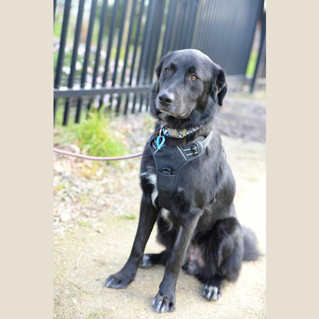 Photo of Sooty