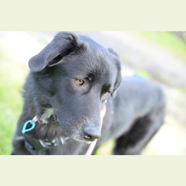 Photo of Sooty