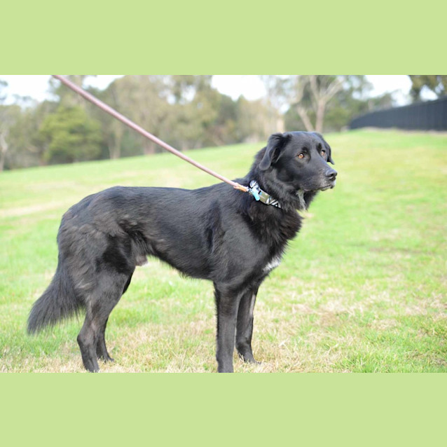 Photo of Sooty
