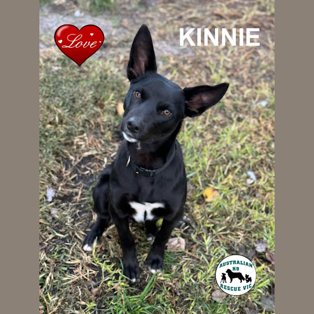 Photo of Kinnie 