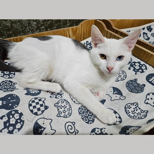 Photo of Fiona