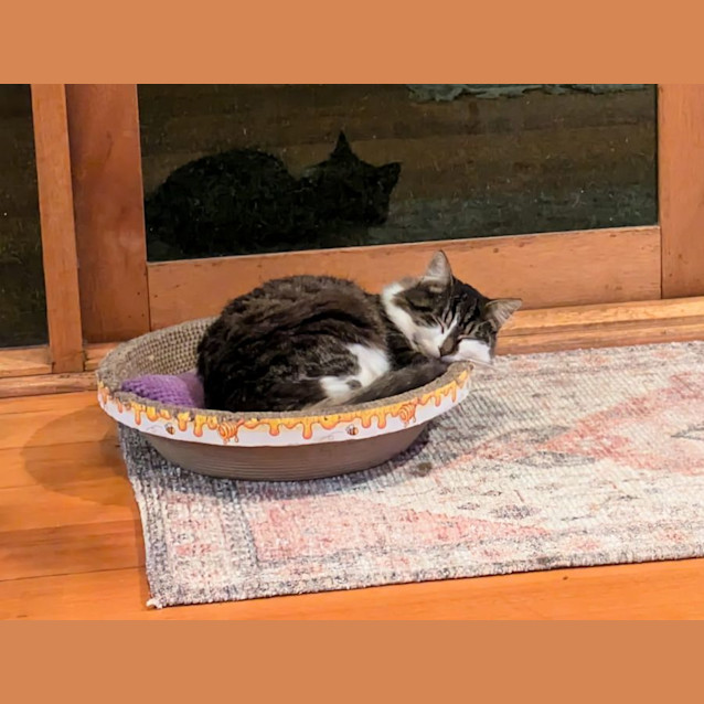 Photo of Yumi