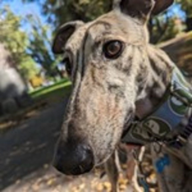 Photo of Yoshi