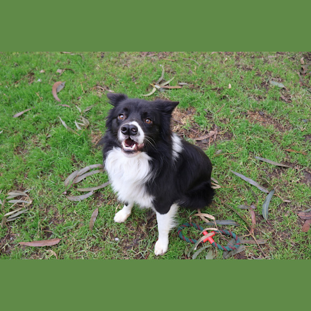 Photo of Kylo