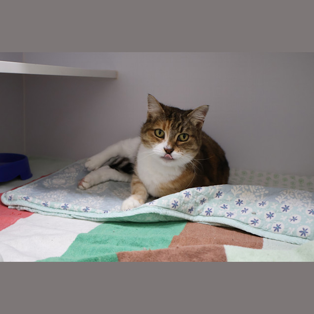 Photo of Talulah