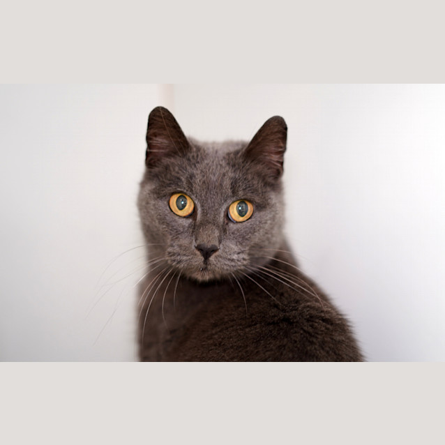 Photo of Gabby