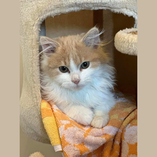 Photo of Chippy & Tabitha