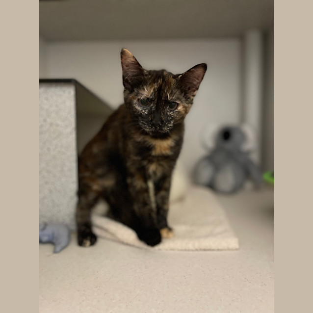 Photo of Lila