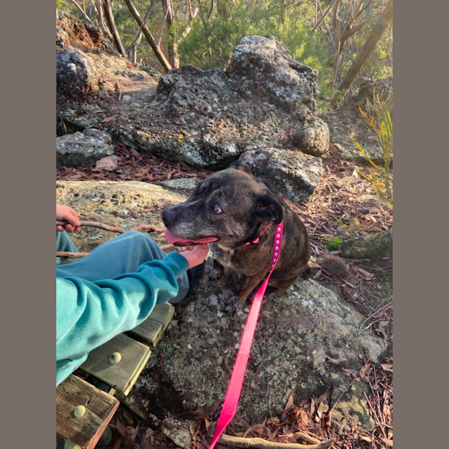 Photo of Shiloh 💜