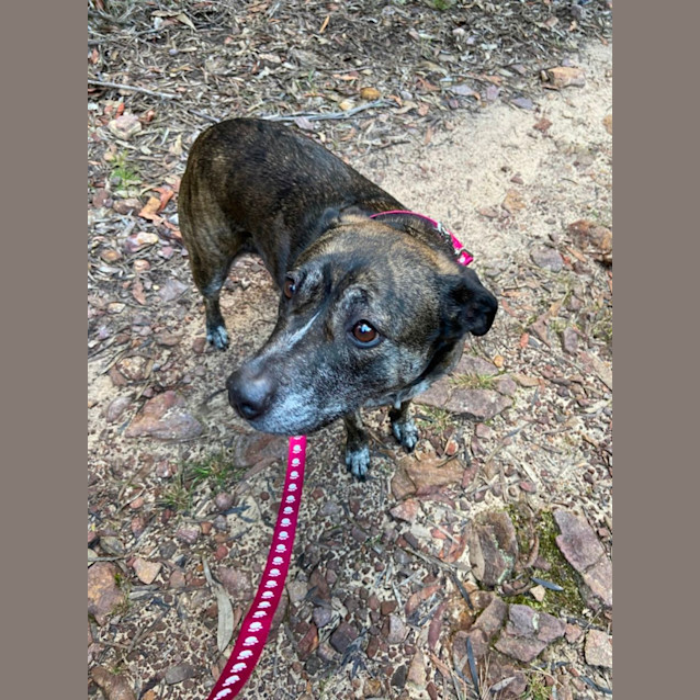 Photo of Shiloh 💜