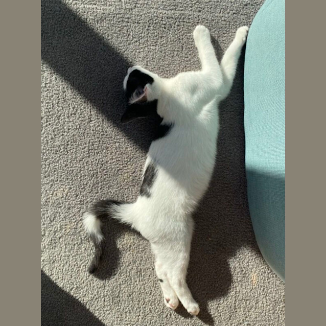 Photo of Bubble (Aka Rory) And Squeak