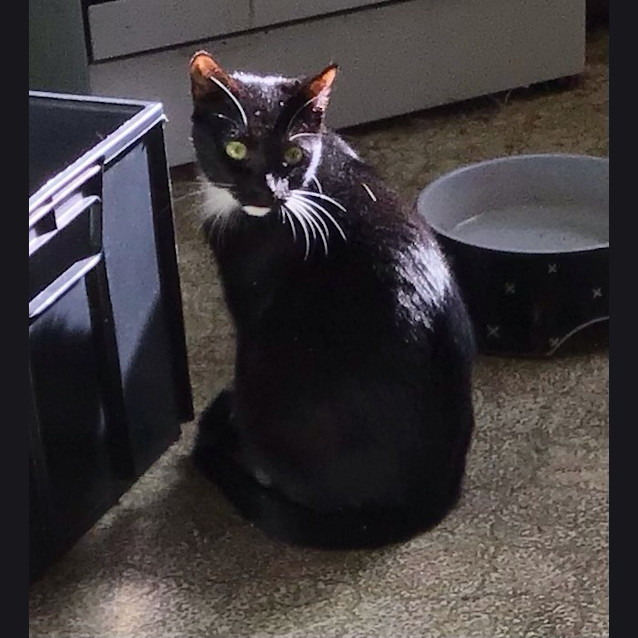Photo of Maggie