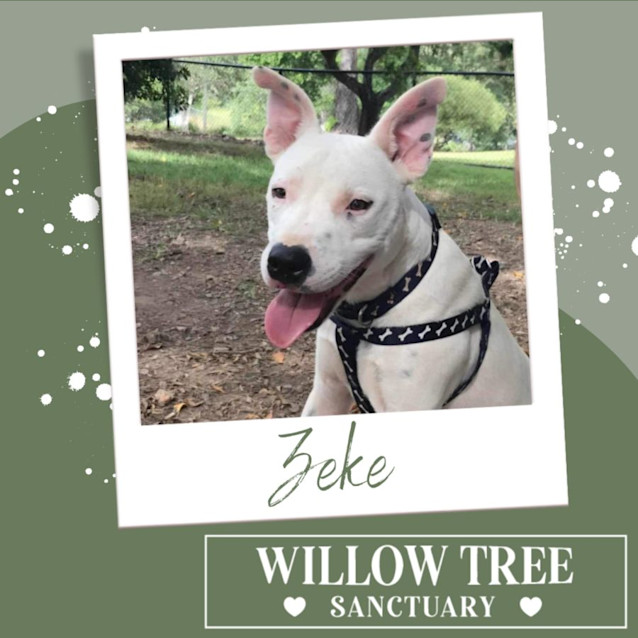 Photo of Zeke
