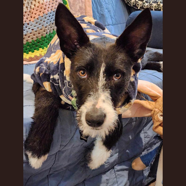 Photo of Lexie