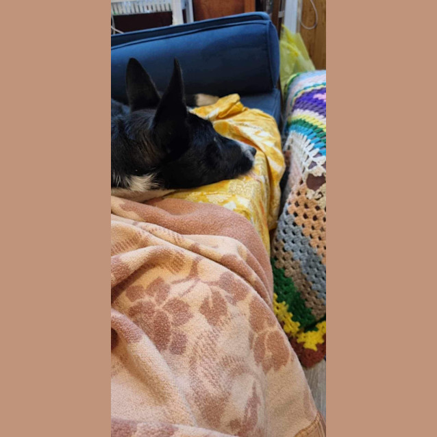 Photo of Lexie