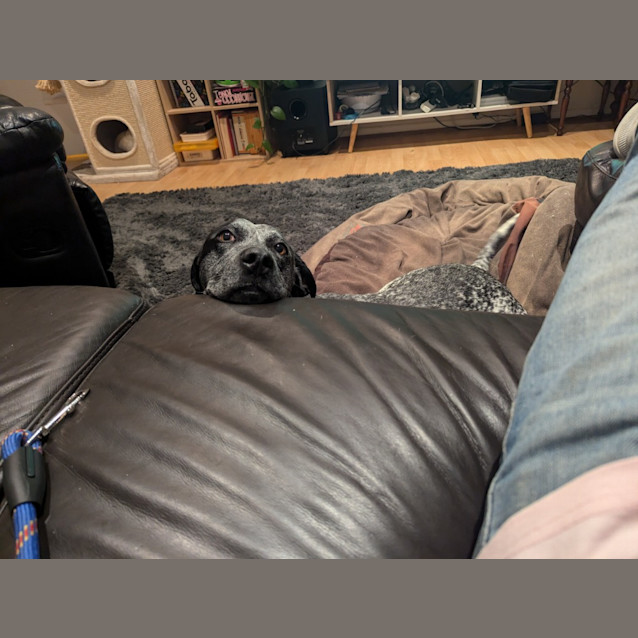 Photo of Luna