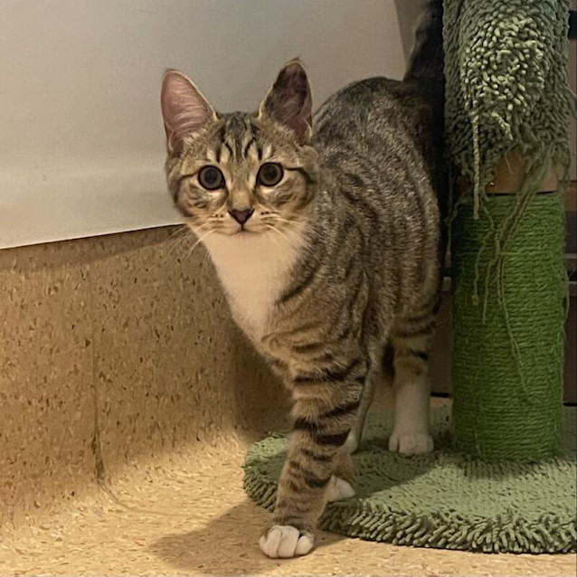 Photo of Tabitha