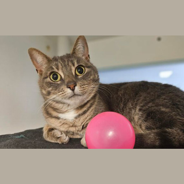 Photo of Luna