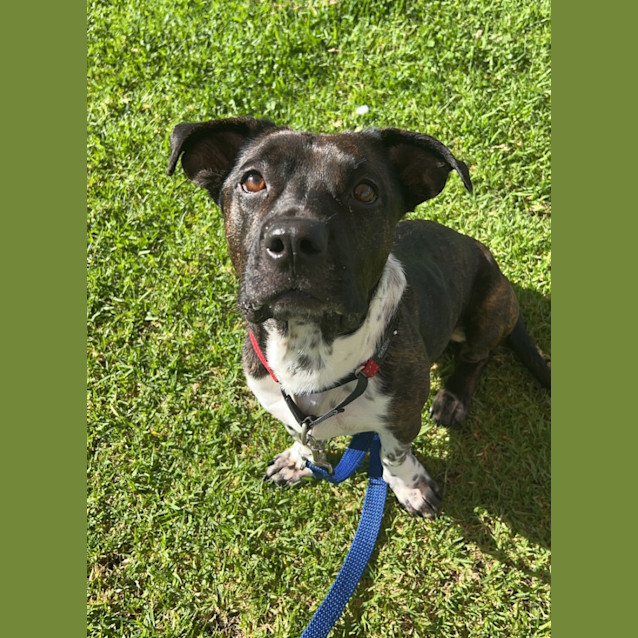 Photo of Charlie 