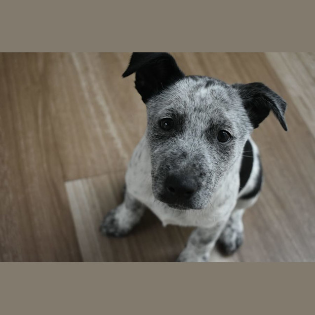 Photo of Ginny