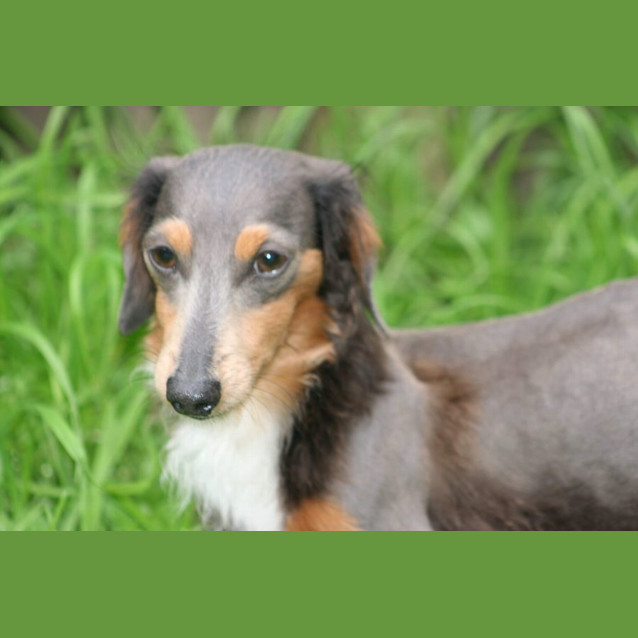 Photo of Hazel