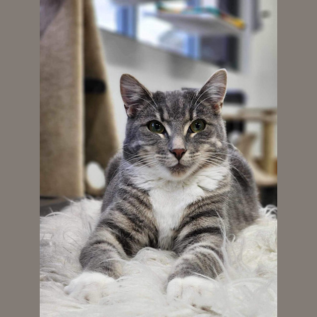 Photo of 🎁 Mack 5056 🎁