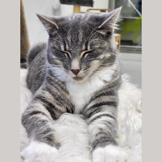 Photo of 🎁 Mack 5056 🎁