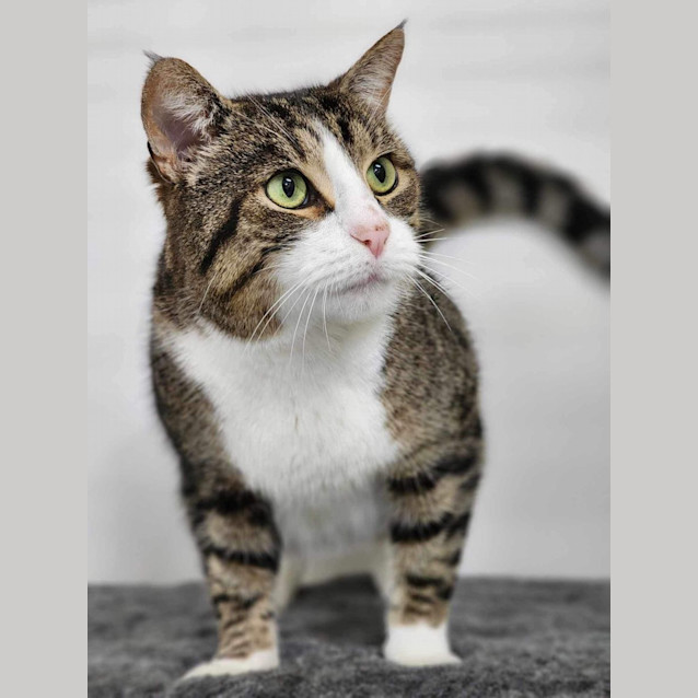 Photo of 🩰 Adalee 5189 🩰