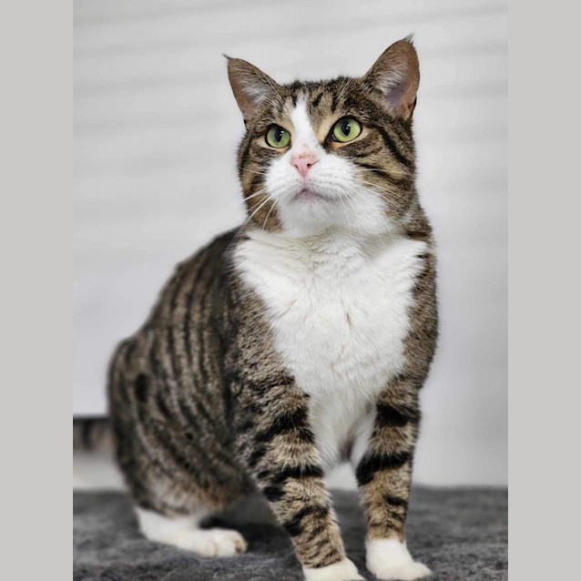 Photo of 🩰 Adalee 5189 🩰