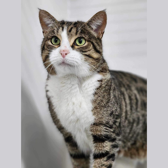 Photo of 🩰 Adalee 5189 🩰