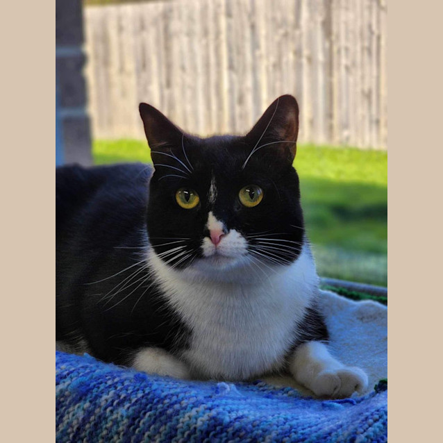 Photo of ☕ Milo 5070 ☕