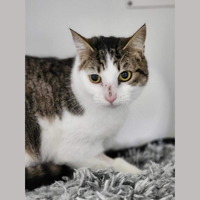 Photo of 🌌 Celia 5241 🌌