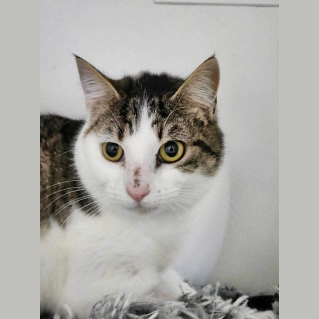 Photo of 🌌 Celia 5241 🌌