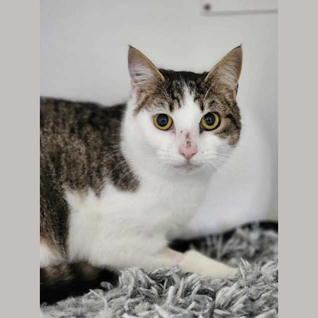 Photo of 🌌 Celia 5241 🌌