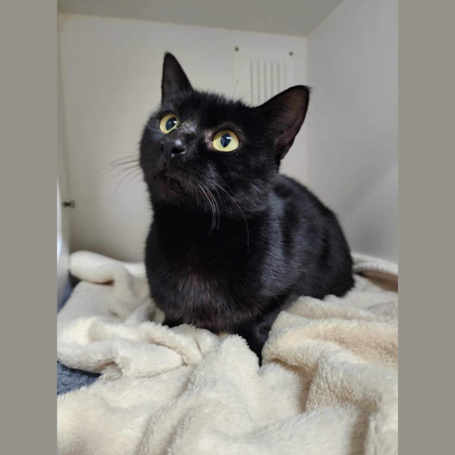 Photo of 🌳 Willow 5248 🌳